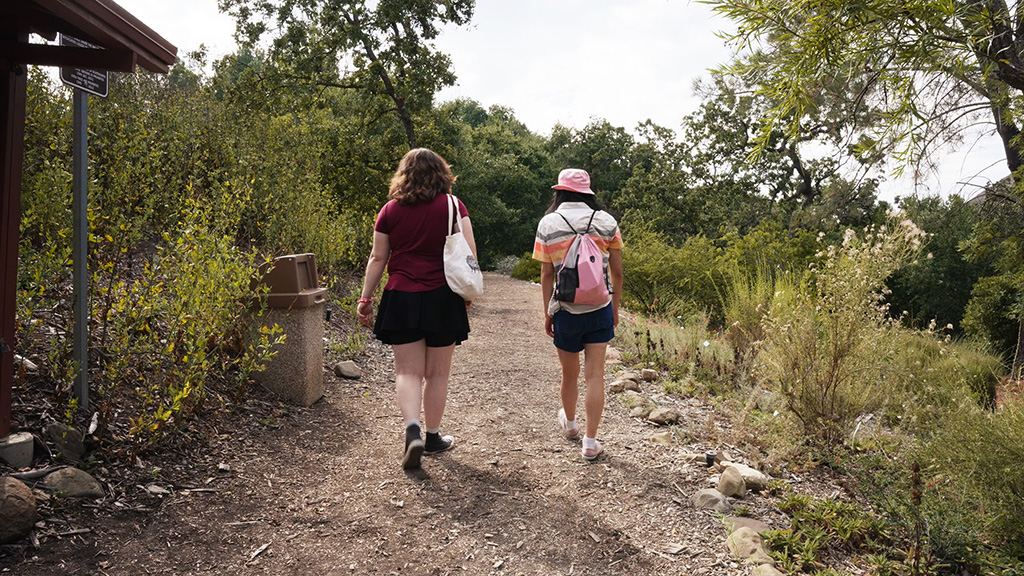 Two people walking in a park