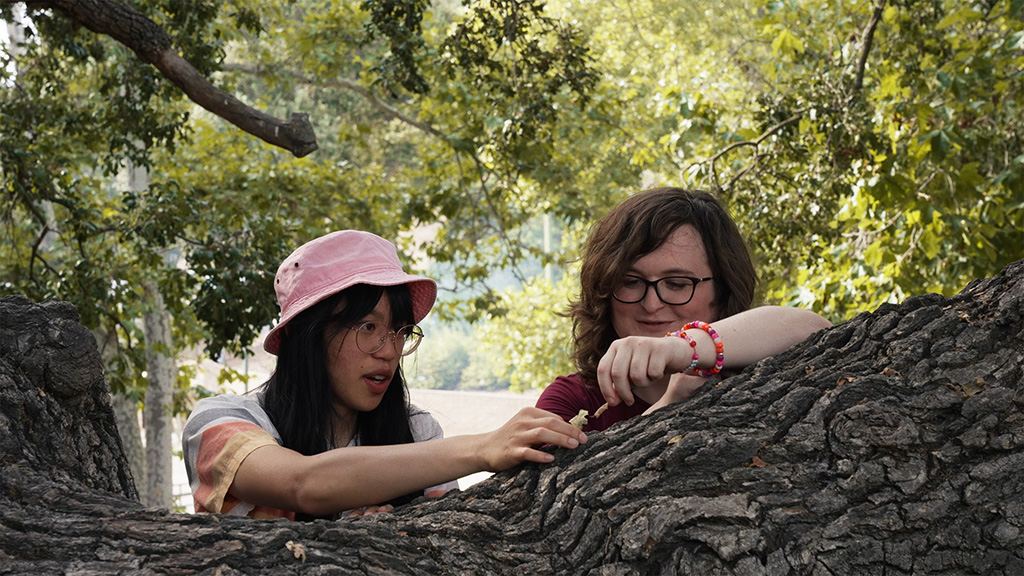 Two people by a tree playing with a leaf